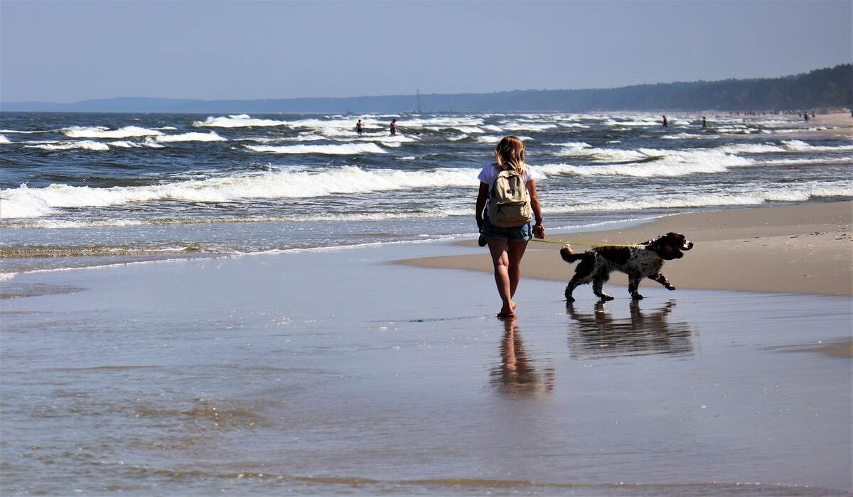 Frau bei einem Spaziergang mit ihrem Hund am Meer in Deutschland